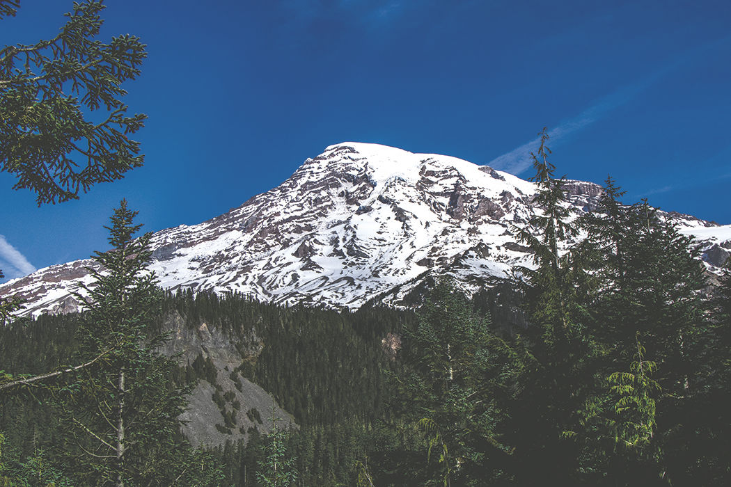 Photos: From Paradise in Mount Rainier National Park